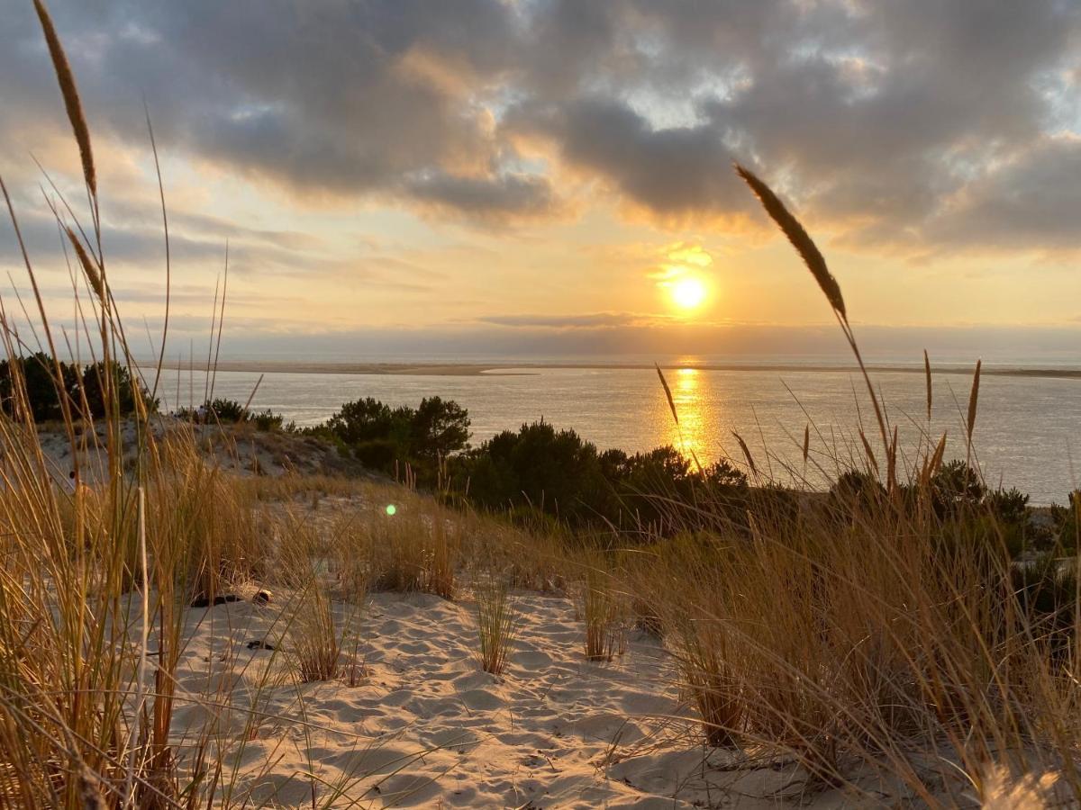 Bel Sur Le Bassin D'arcachon, A 2km De La La Teste-de-Buch